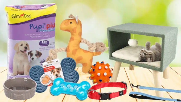 Pet Equipment & Accessories